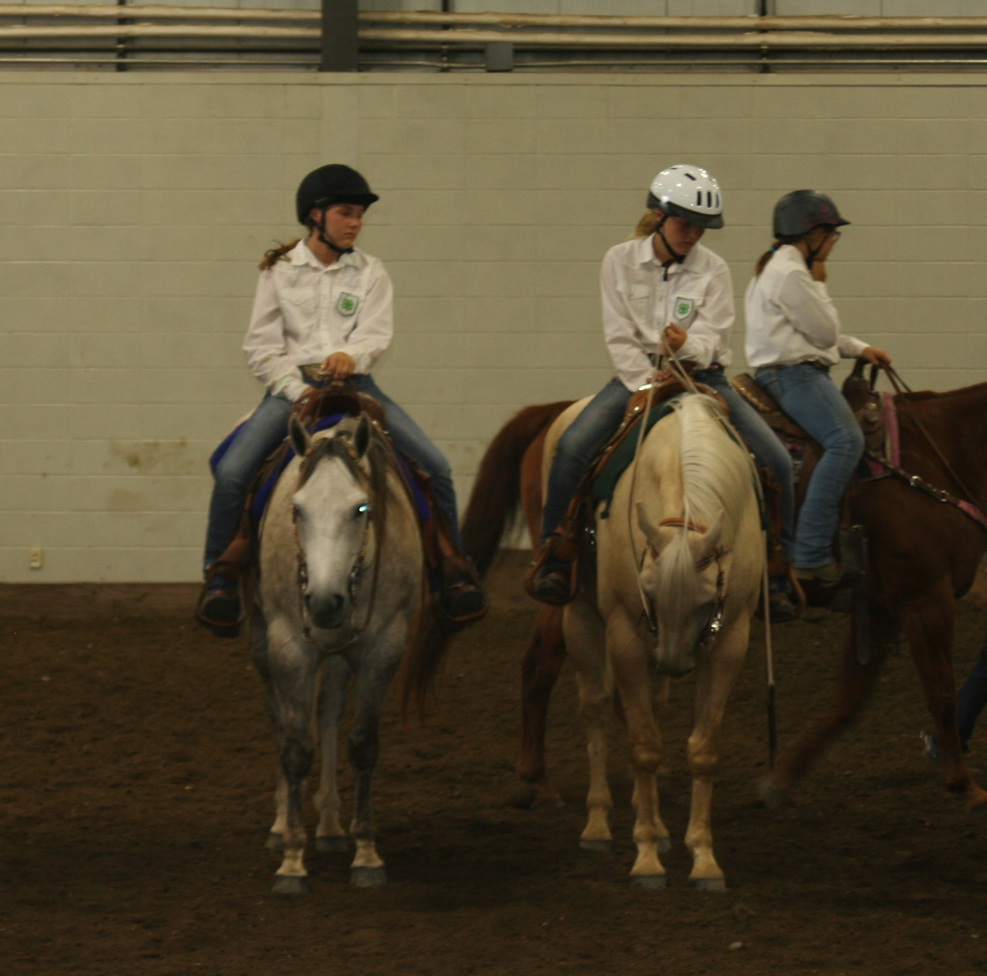 Harvey Quarter Horse Ranch Photo Album