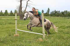 2016 maddie and Bandit