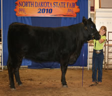 Maddie and Showgirl State Fair 2010