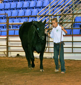 2013 Wesley and Zola ND State Fair